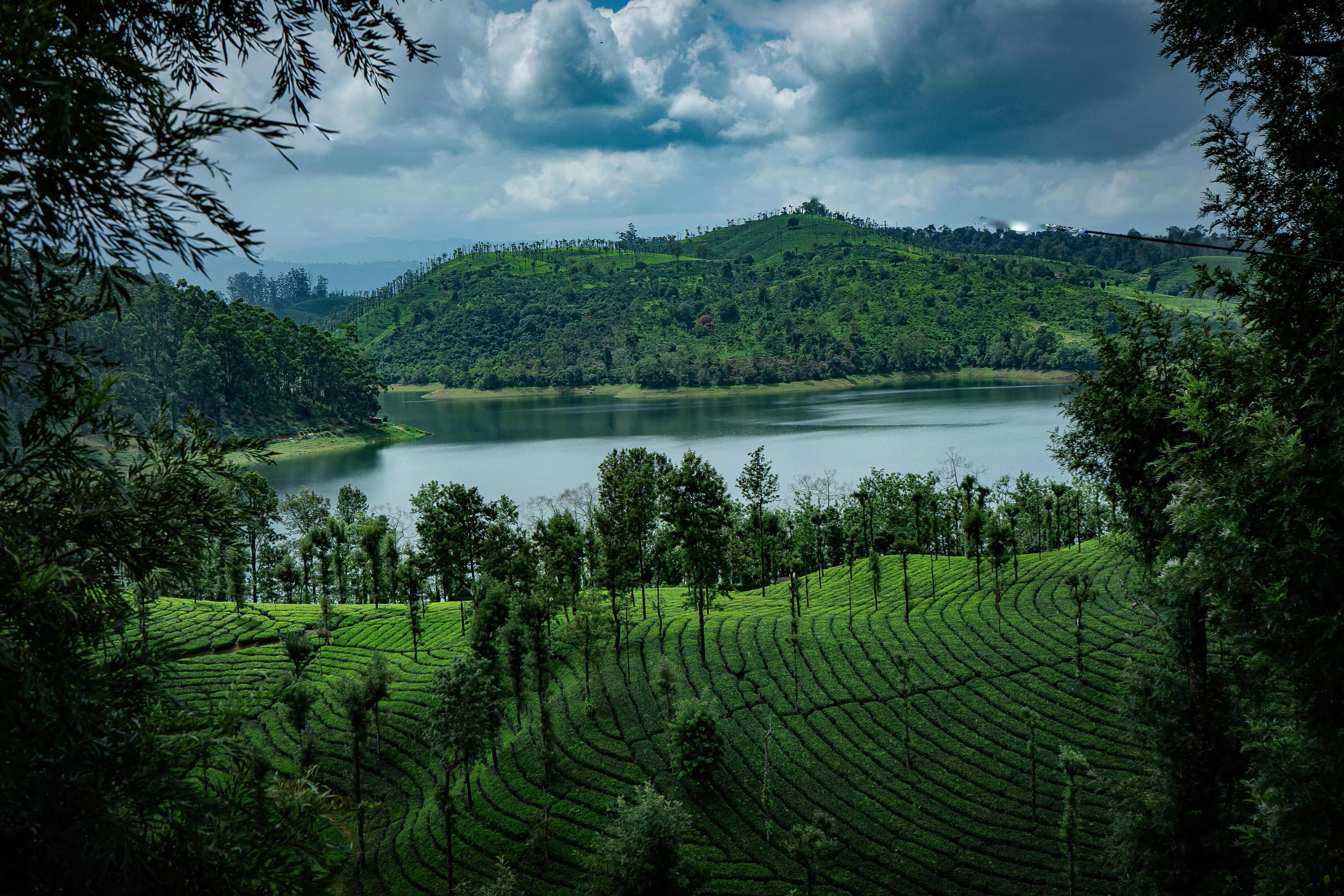 Amazing Kerala Tour