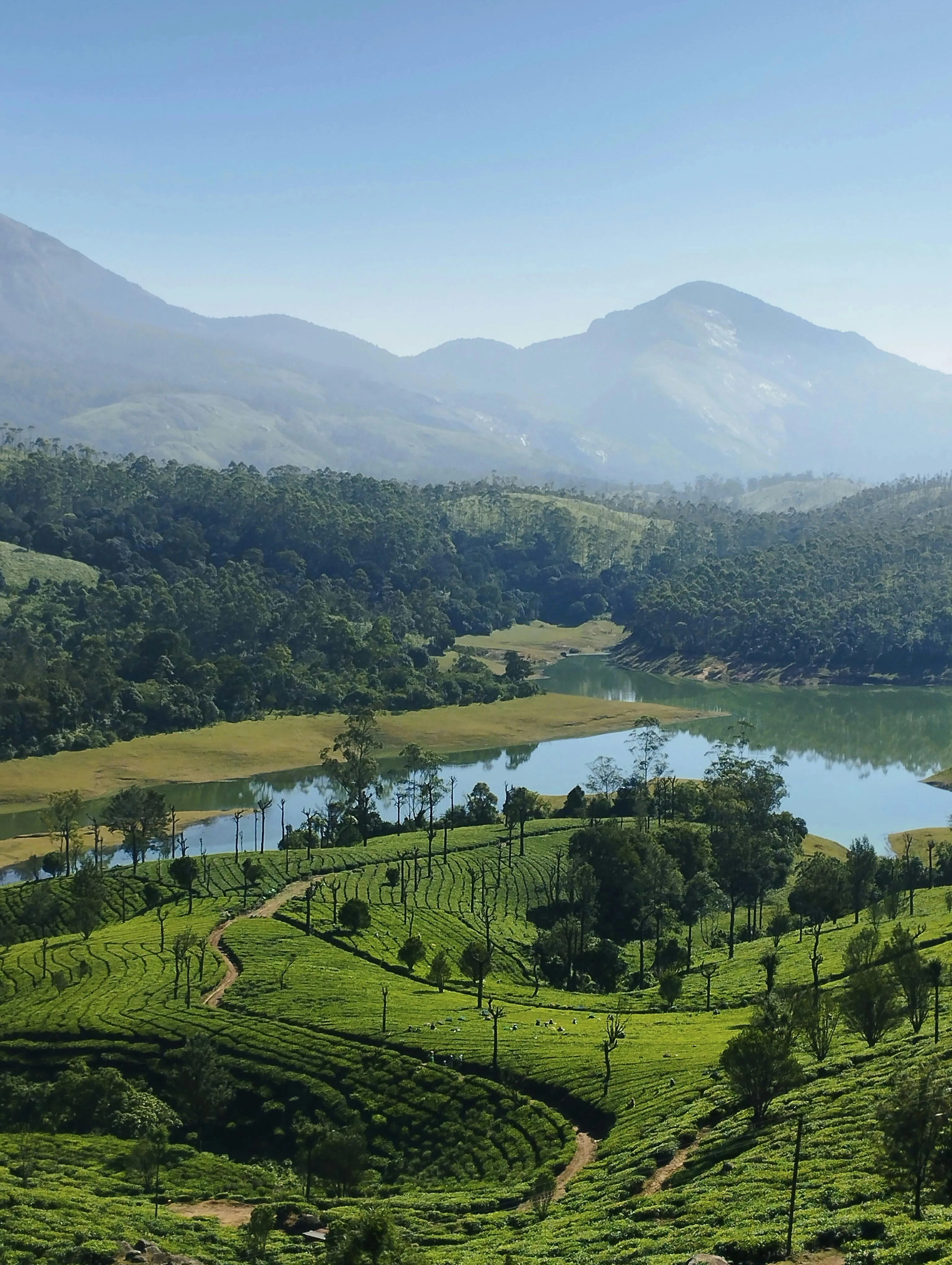 Thekkady Munnar Trails