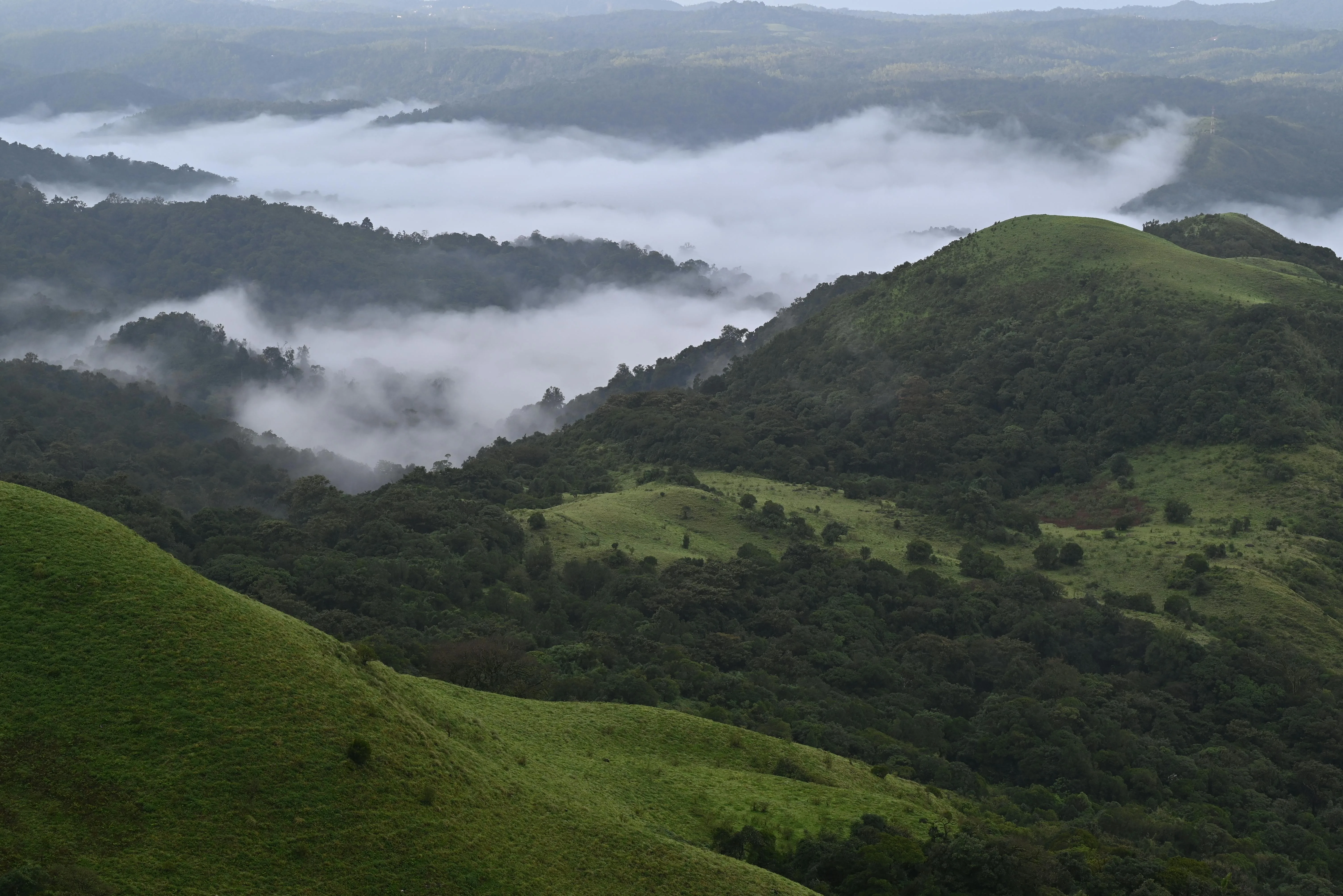Inspiring South India Tour