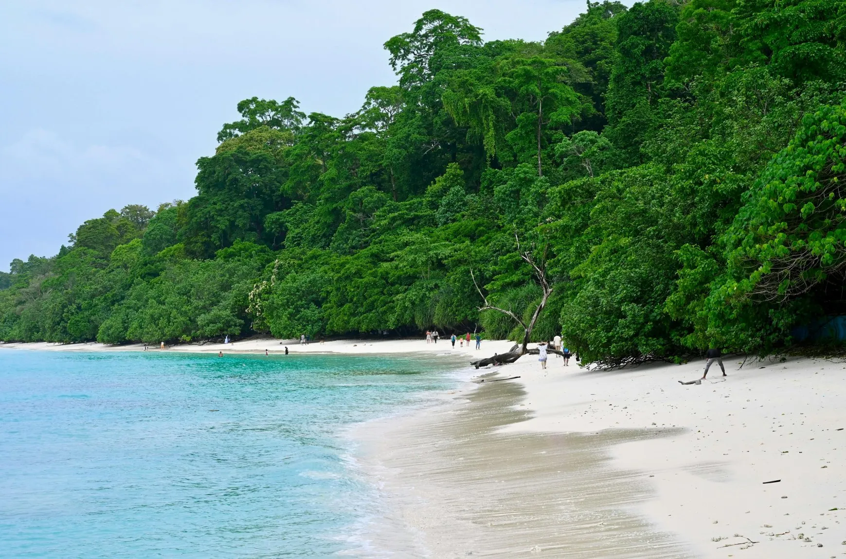Stunning Backwaters & Exotic Beaches Of Kerala