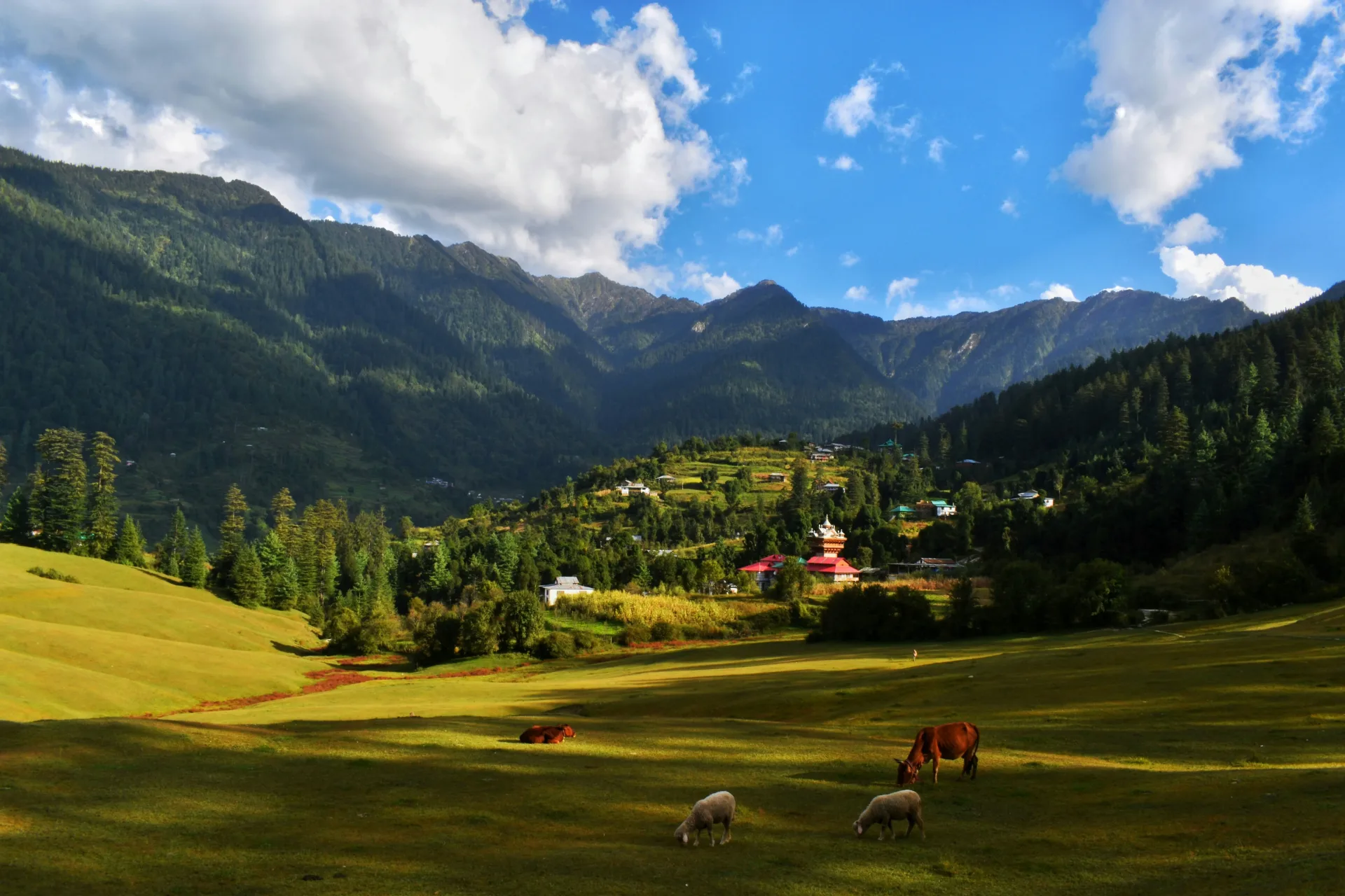Enchanting Himachal