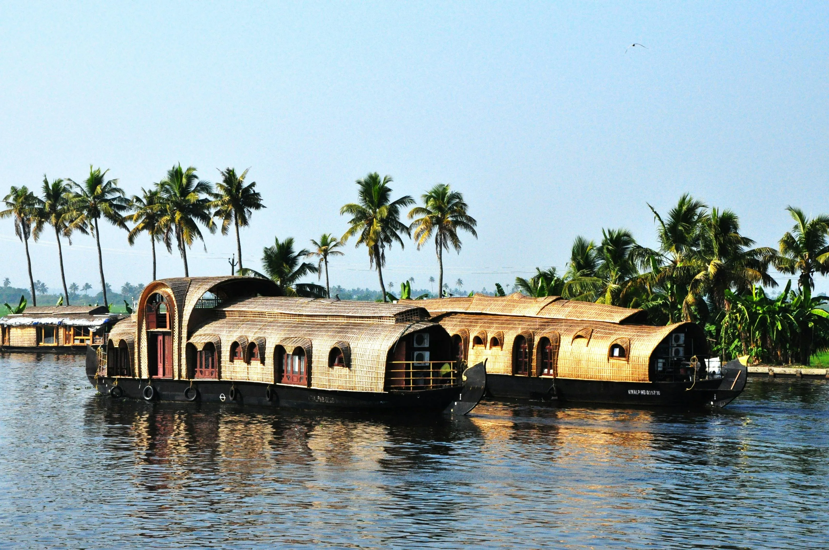 Kerala Waterfall And Hill Station Tour