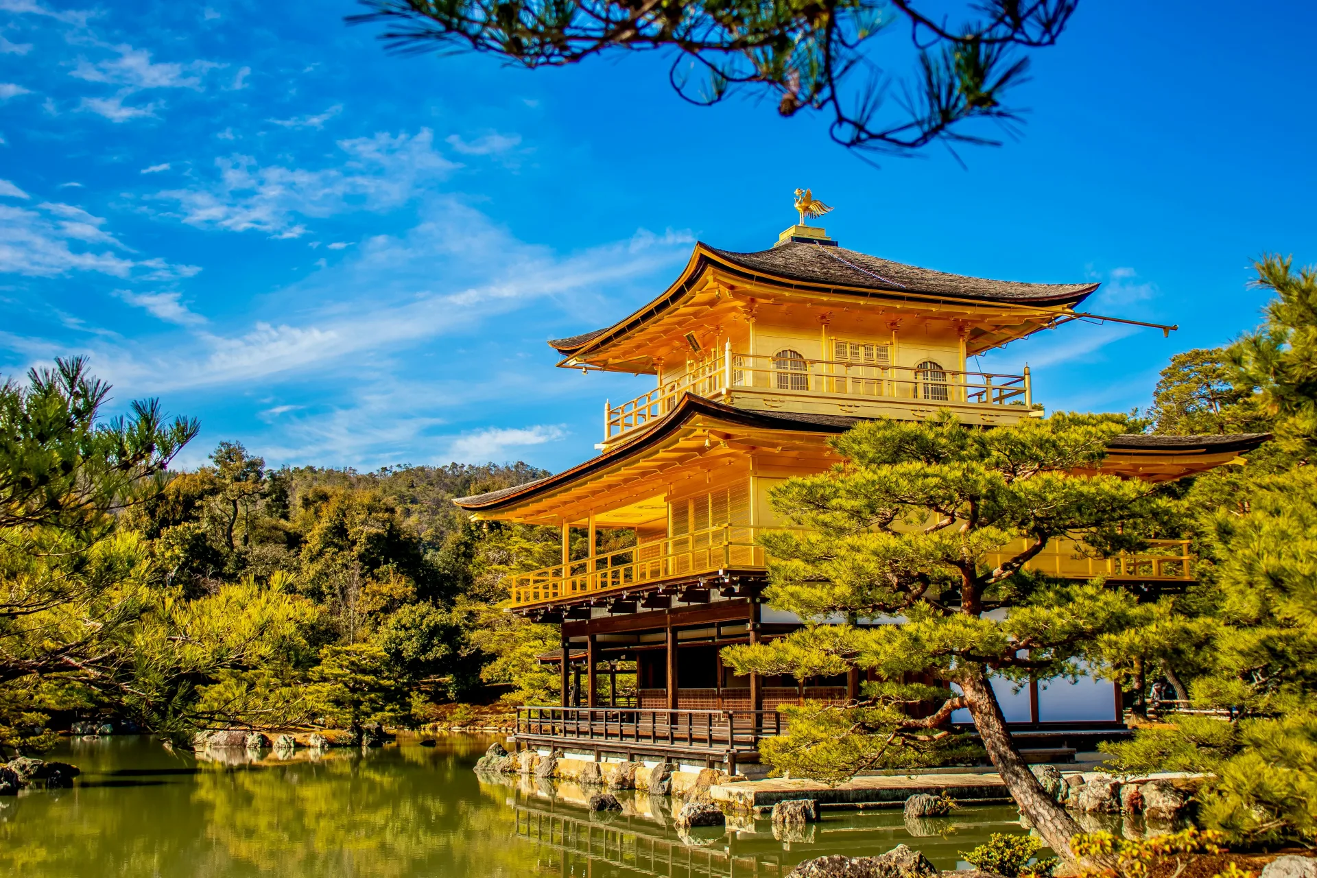 Cherry Blossom Of Japan - 8 Days