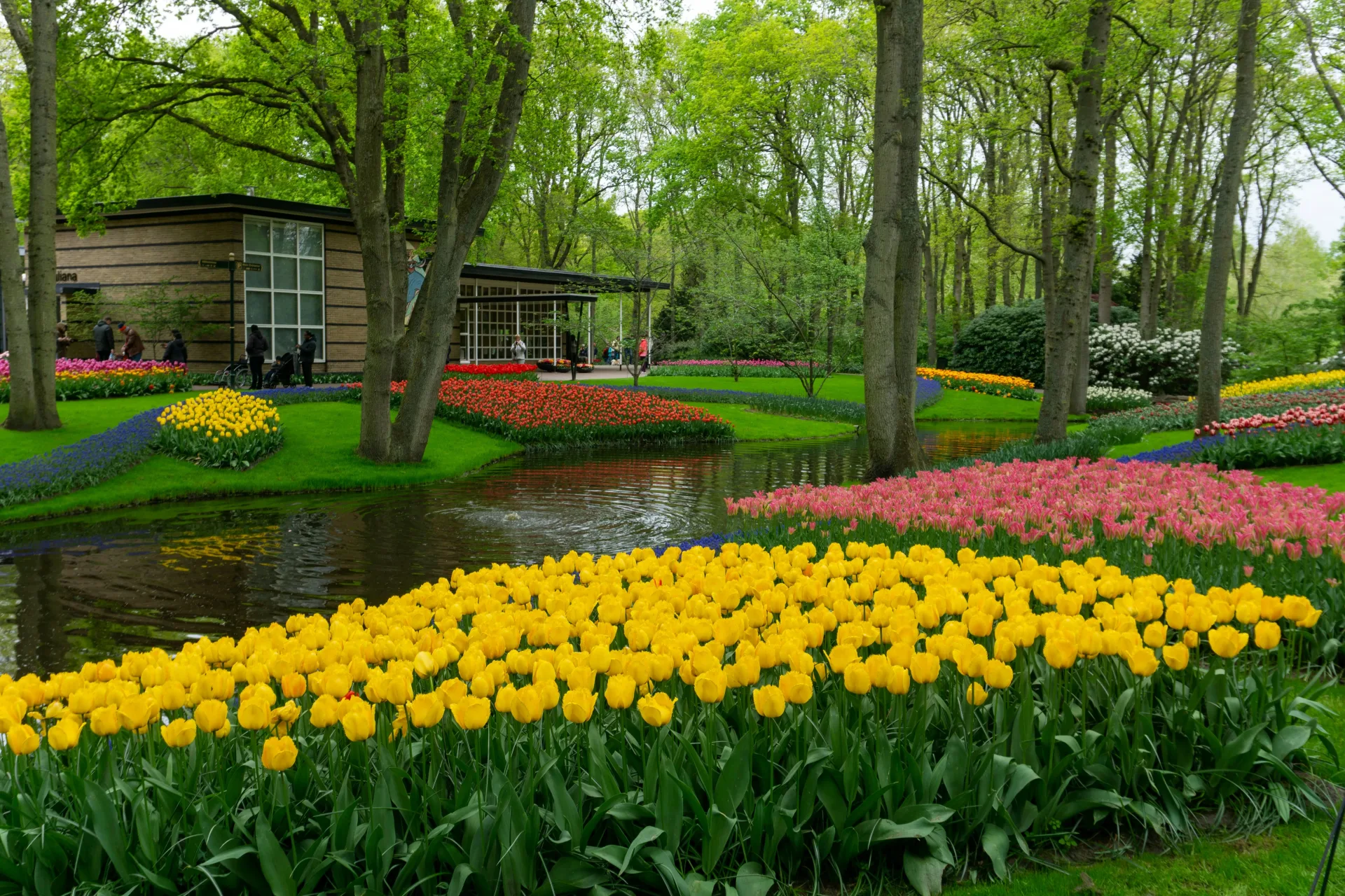 Visit Keukenhof Gardens (till 10th May). Visit picturesque Dutch Village of Windmills and Tradition (from 11th May). Explore Amsterdam with Canal Cruise. Drive to Germany.