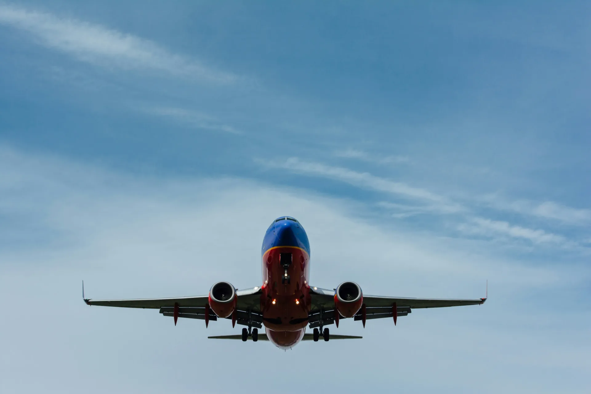 Fly back home