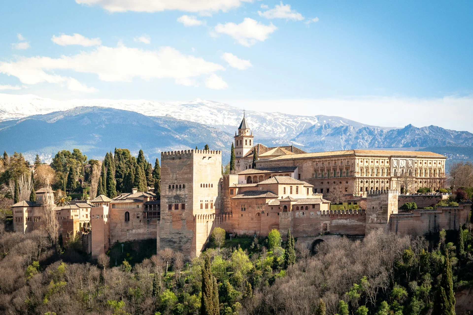 Guided tour of Granada. Entrance to Alhambra Palace and Generalife Gardens.