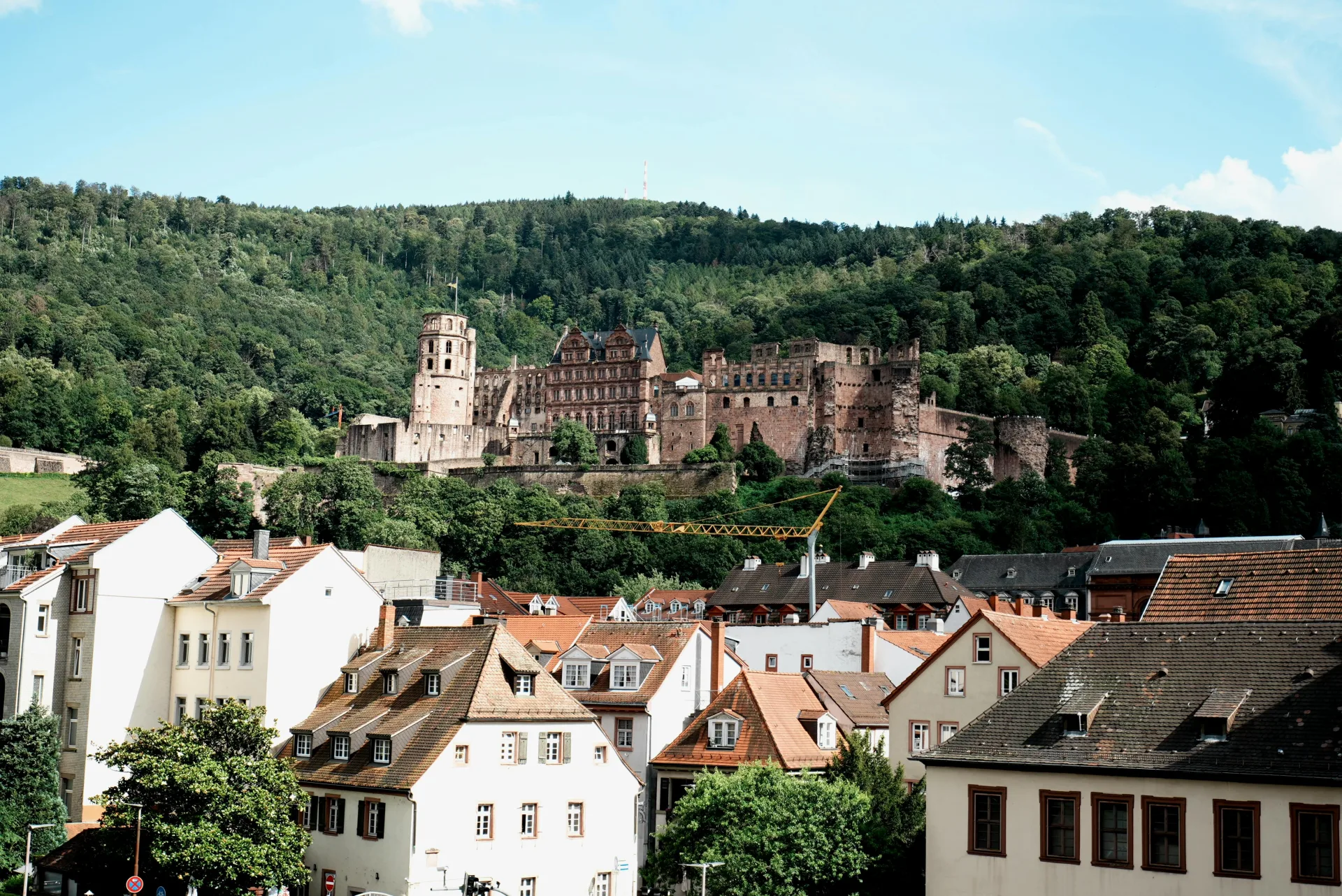 Visit the Heidelberg Alstadt and see the Church of the Holy Spirit. Travel to the Heart of the Black Forest, where you'll have the chance to witness the grandeur of the largest waterfall in Switzerlan...