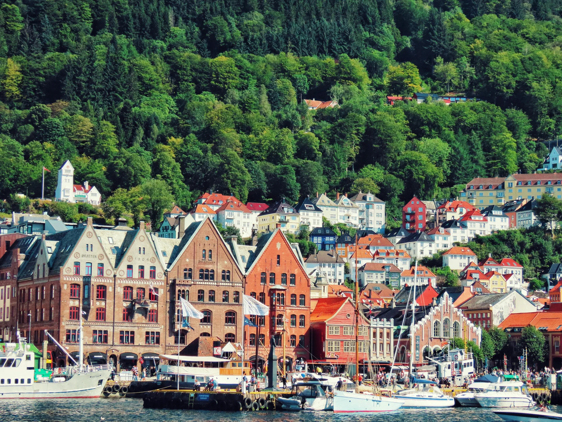 Today embark on an exciting journey - Norway in Nutshell - The highlight of your tour.